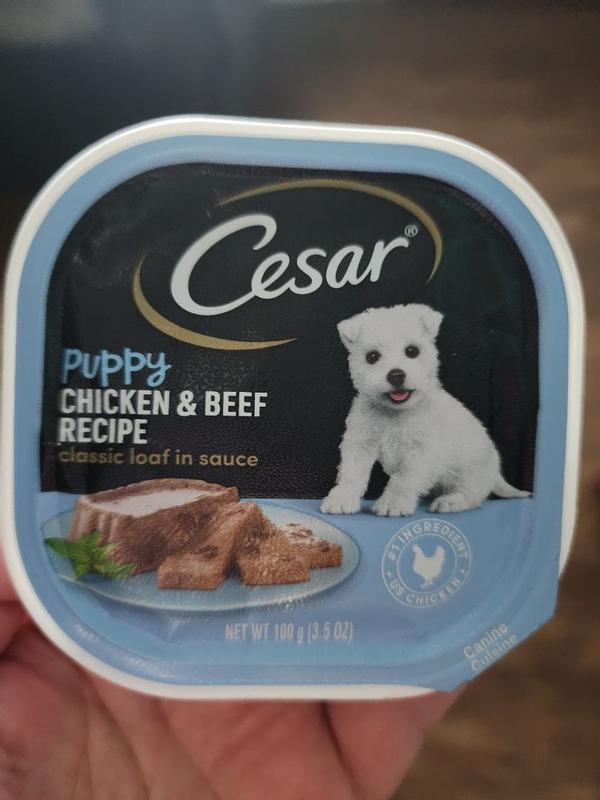 Cesar dog food good for puppies hotsell