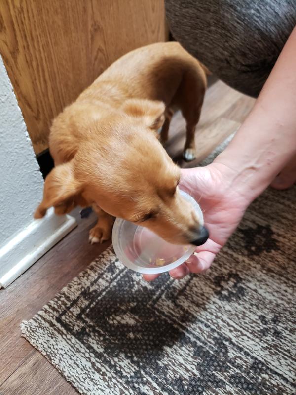 Bitsy Loves It!