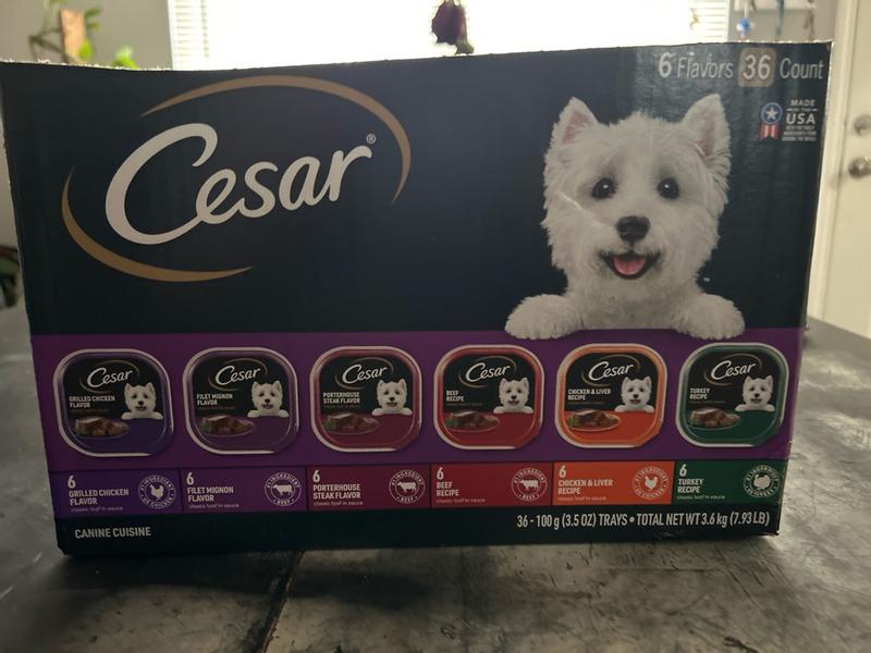 Steak Lover's Wet Dog Food Multipack 36 Count | CESAR®