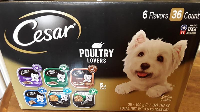 Cesar dog 2024 food 36 pack