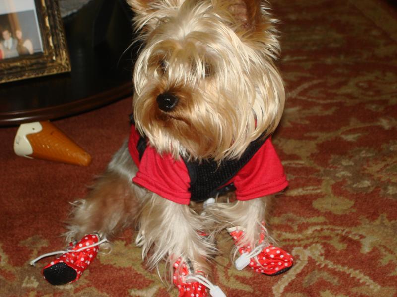 Photo - commentaire 6.