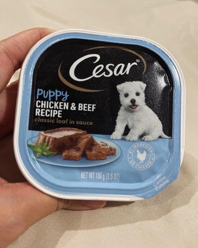 Puppy and cesar best sale