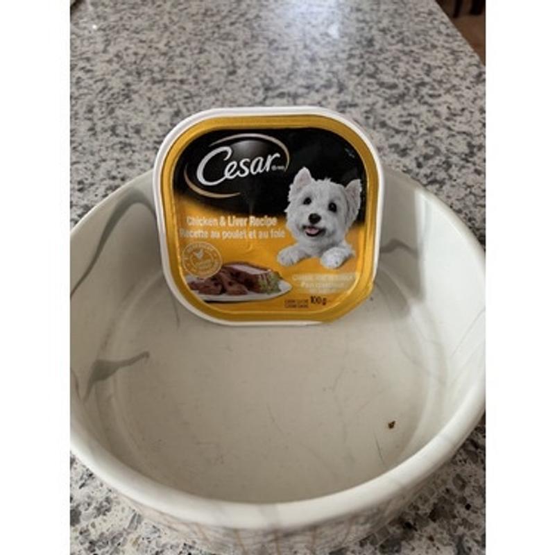 Cesar dog food for puppies best sale