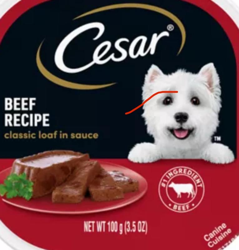 Photo - commentaire 1.