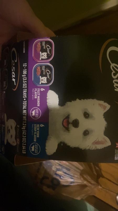 Cesar dog hotsell food coupons walmart