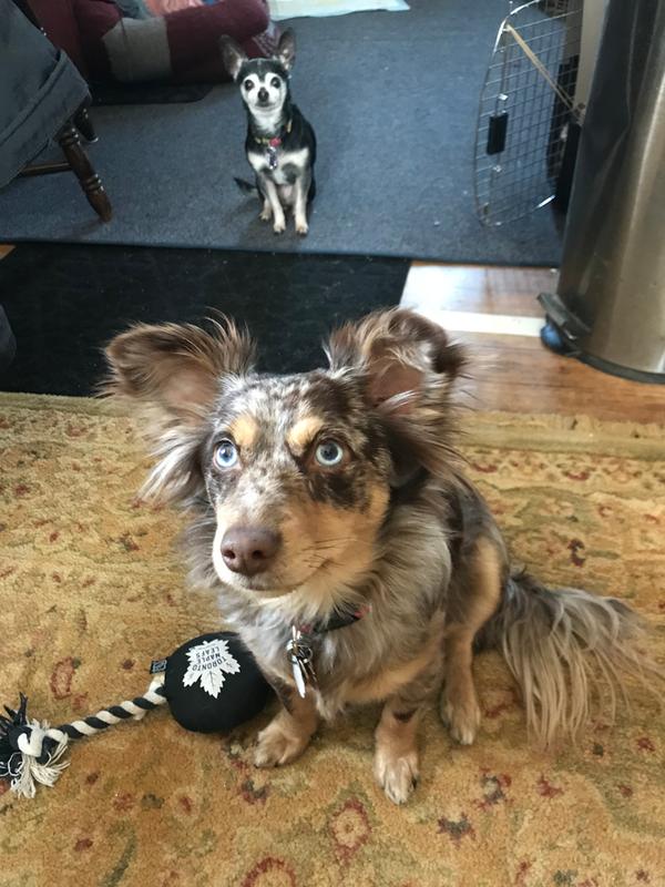 Photo - commentaire&nbsp;2.