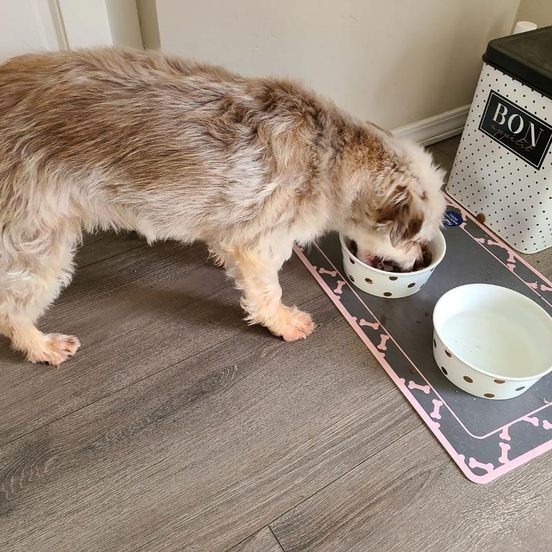 Photo - commentaire 7.