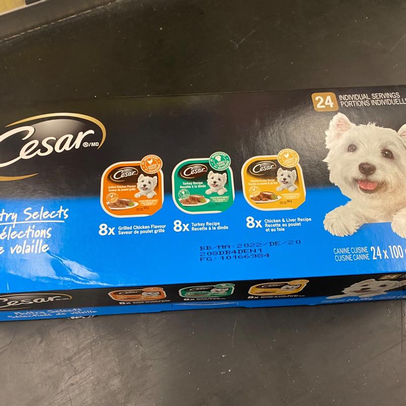 Photo - commentaire 6.