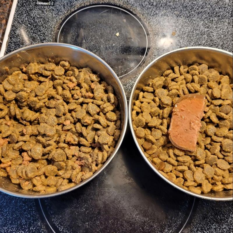 Photo - commentaire 2.