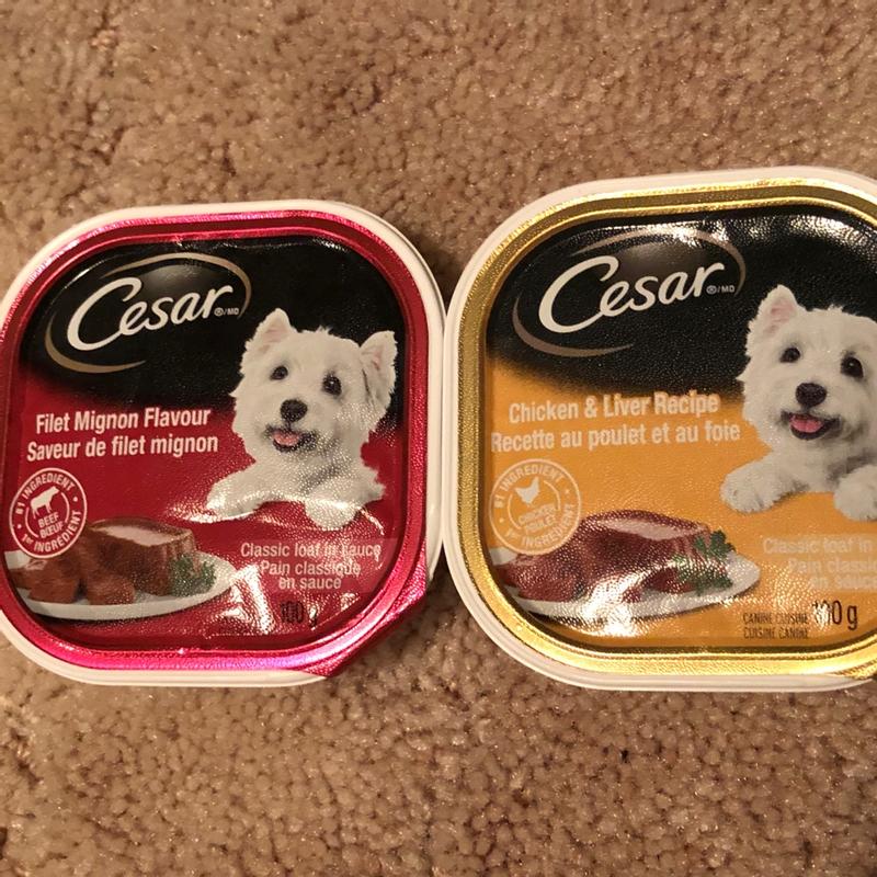 Photo - commentaire&nbsp;4.