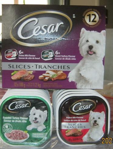 One of my dogs favorites