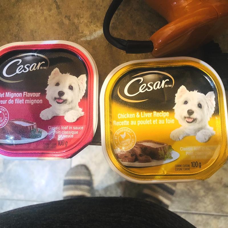 Photo - commentaire&nbsp;7.