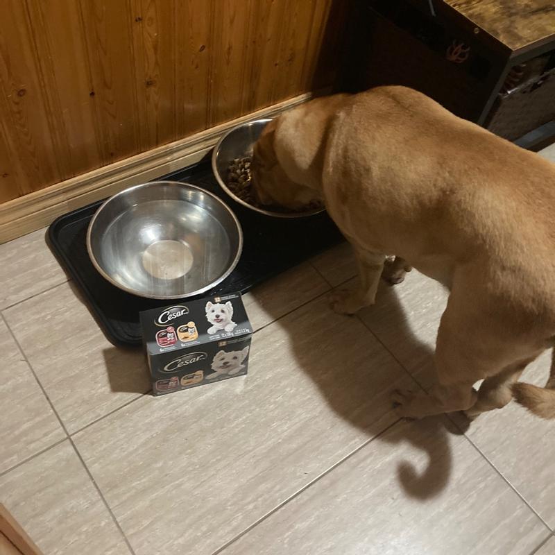 Photo - commentaire&nbsp;1.