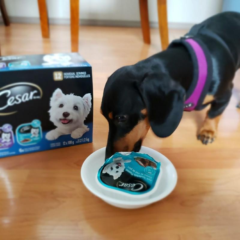 Photo - commentaire 3.