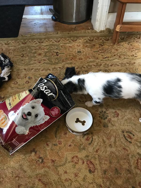 Photo - commentaire&nbsp;1.