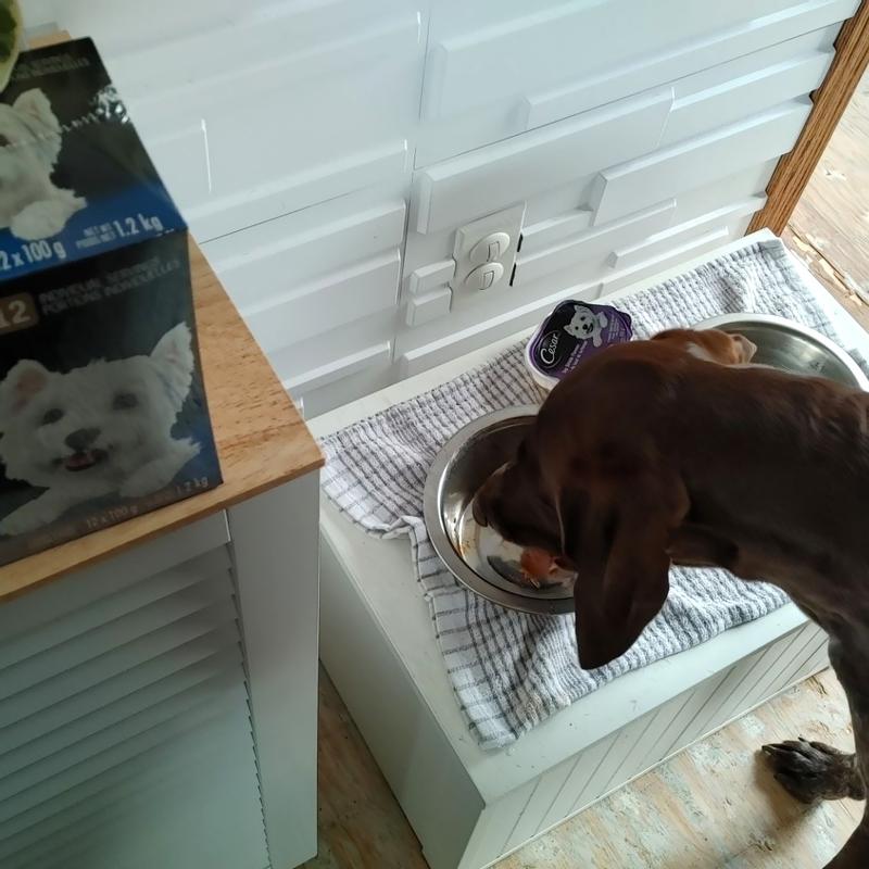 Photo - commentaire 5.