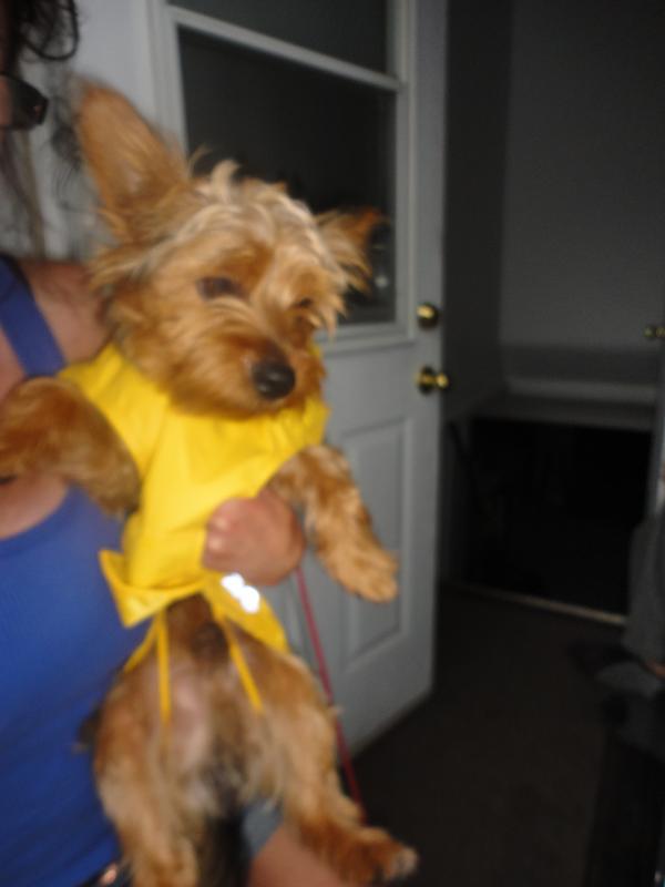 Long walk in the rain = Cesar's steak dinner :)