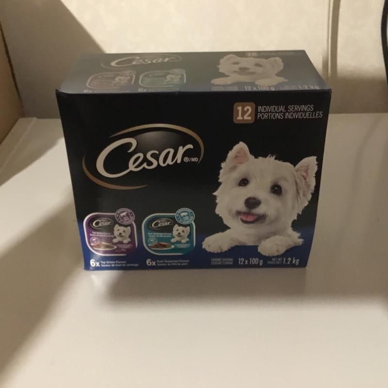 Photo - commentaire 8.