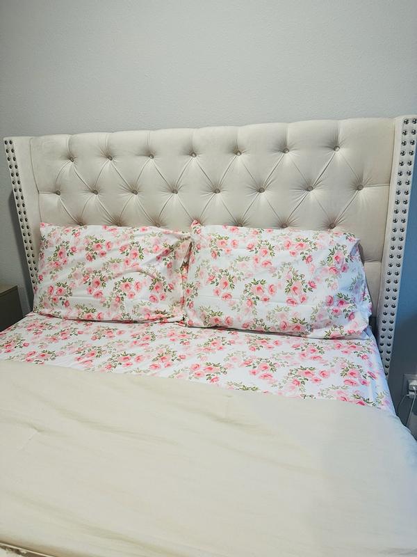 Customer carousel item 12.