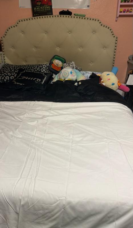 Customer carousel item 2.