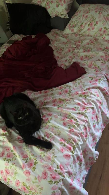 Customer carousel item 2.