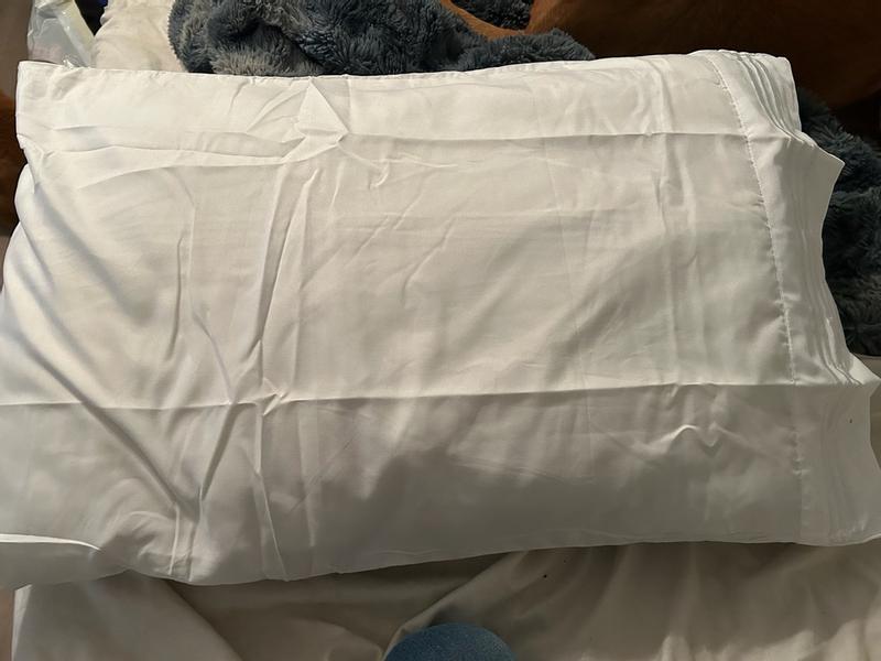 Customer carousel item 2.