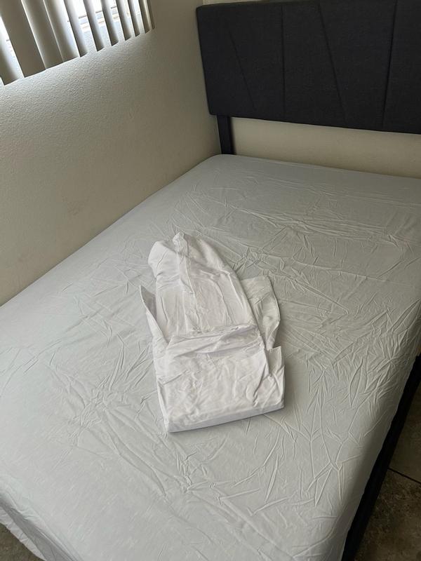 Customer carousel item 11.