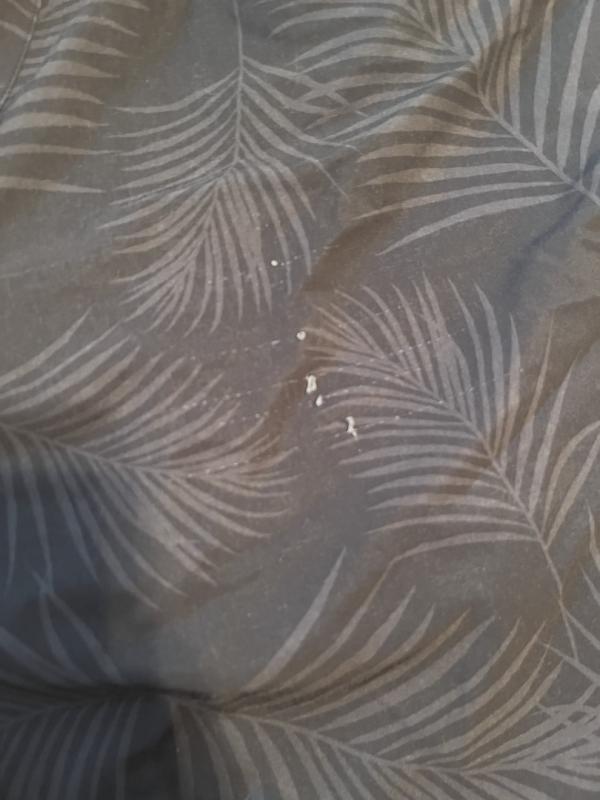 Photo submitted with review of product