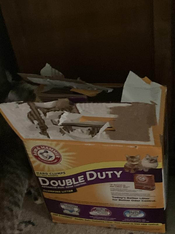 Can Not Open