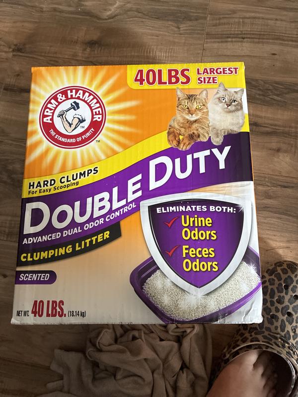My cat litter