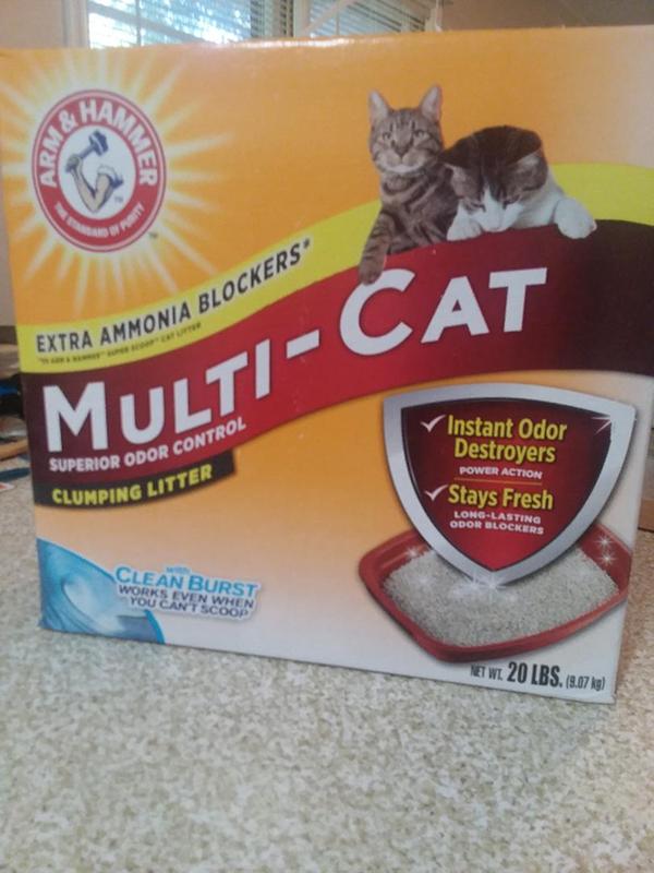 Scooper cat litter outlet with ammonia blockers