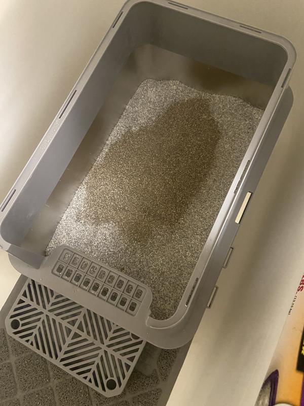 New litter on top of old litter