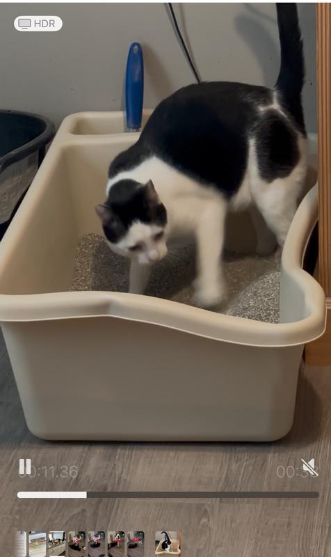 Me box with fresh arm and hammer litter