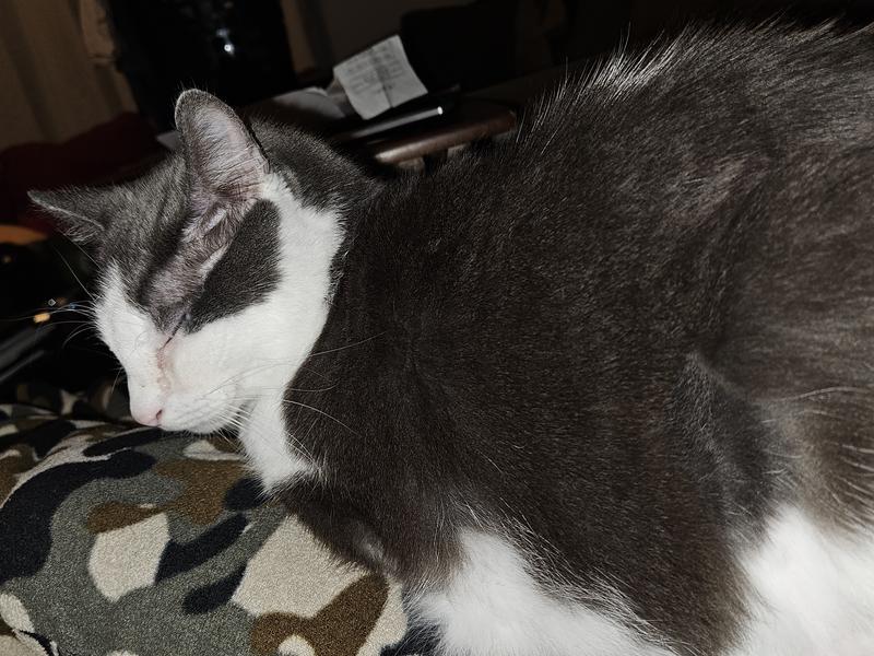 Photo - commentaire 4.