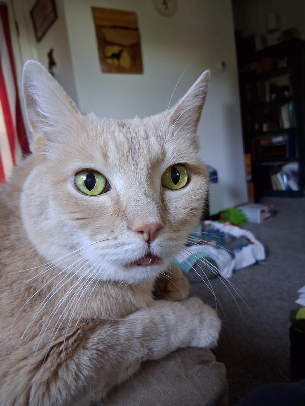 Photo - commentaire&nbsp;3.