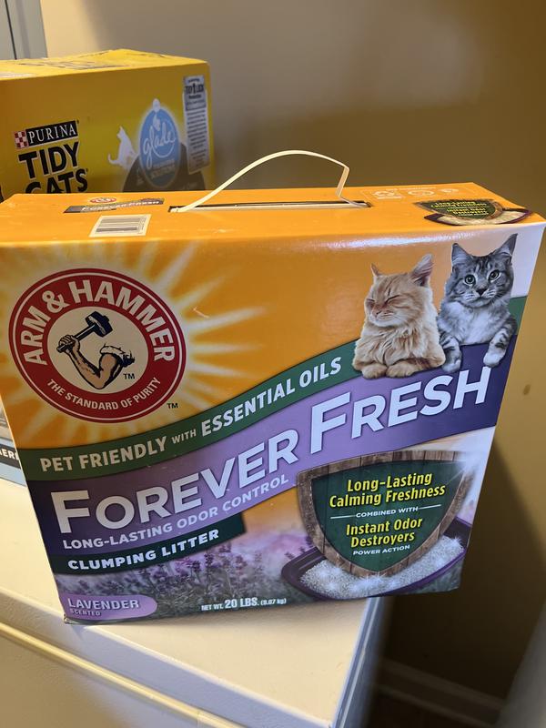 Arm Hammer Forever Fresh Multi Cat Clumping Cat Litter Lavender