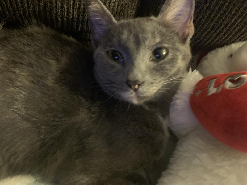 My babies 🫶🏻😻