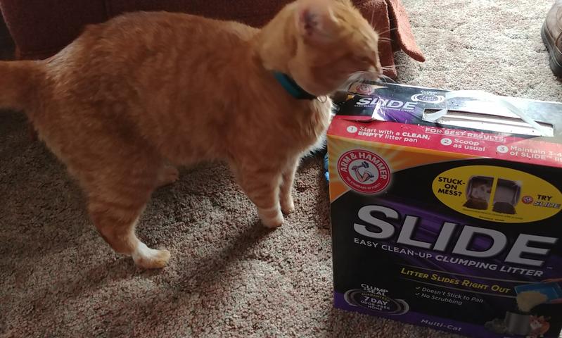 Glide kitty clearance litter