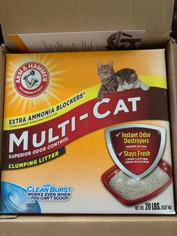 Armand hammer cat outlet litter