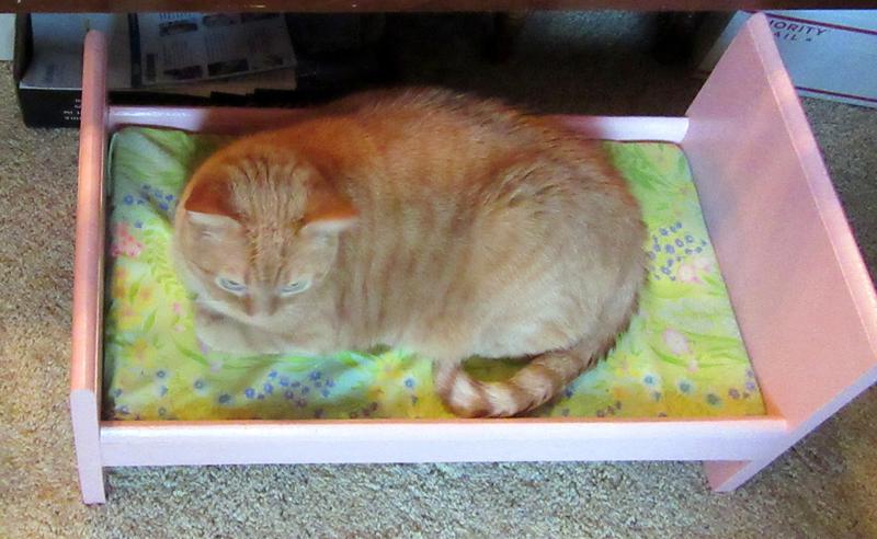 My new bed