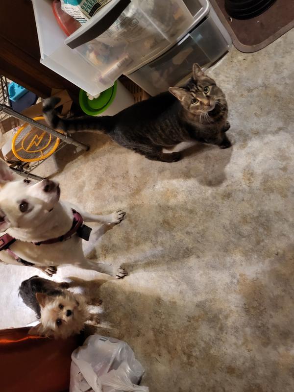 My the friends 🧡