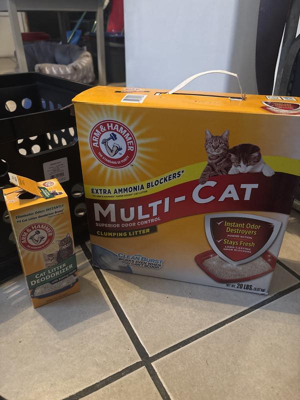 Best products for your kitty!