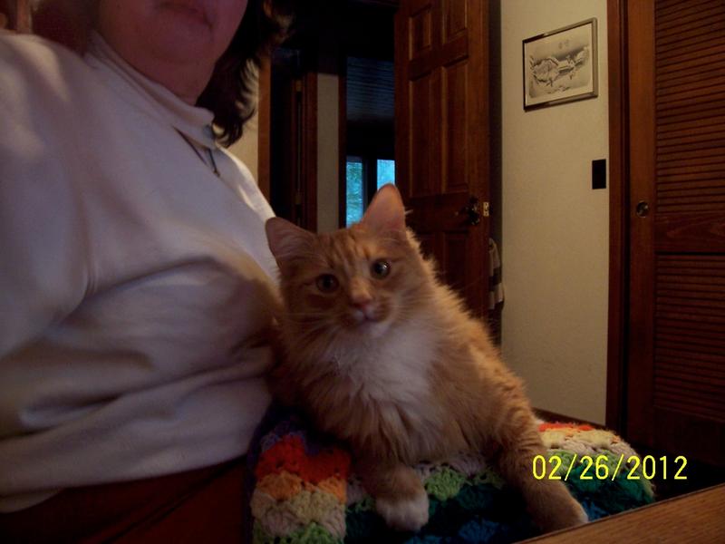 Julius Keyes 7/2001 - 11/14