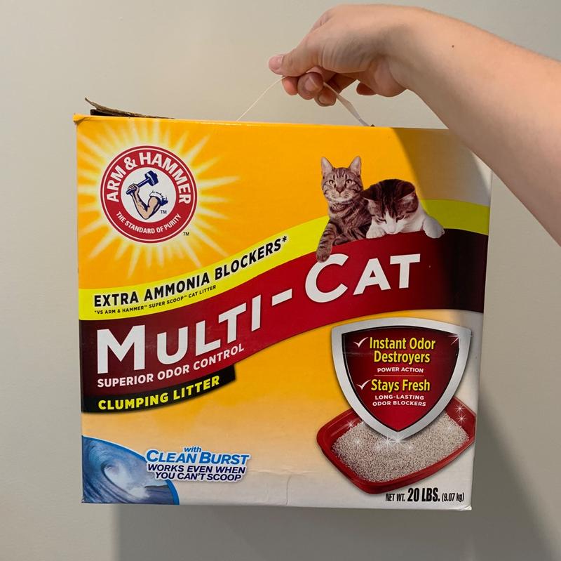 Armor hammer outlet cat litter