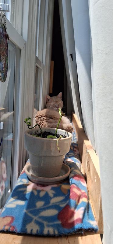 Photo - commentaire&nbsp;5.