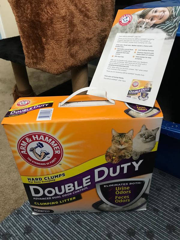 Arm and hammer double cheap duty cat litter 40 lbs