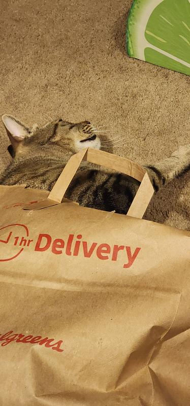 What's in the bag