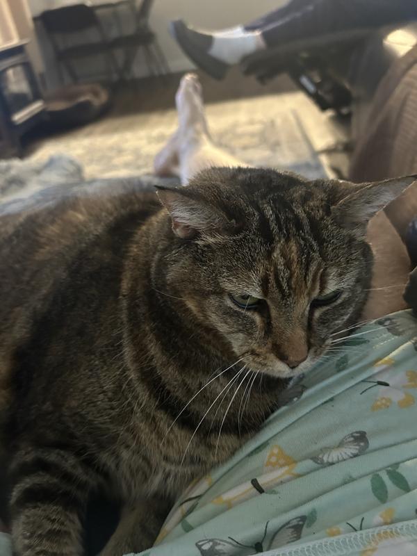 Maggie and Punkin