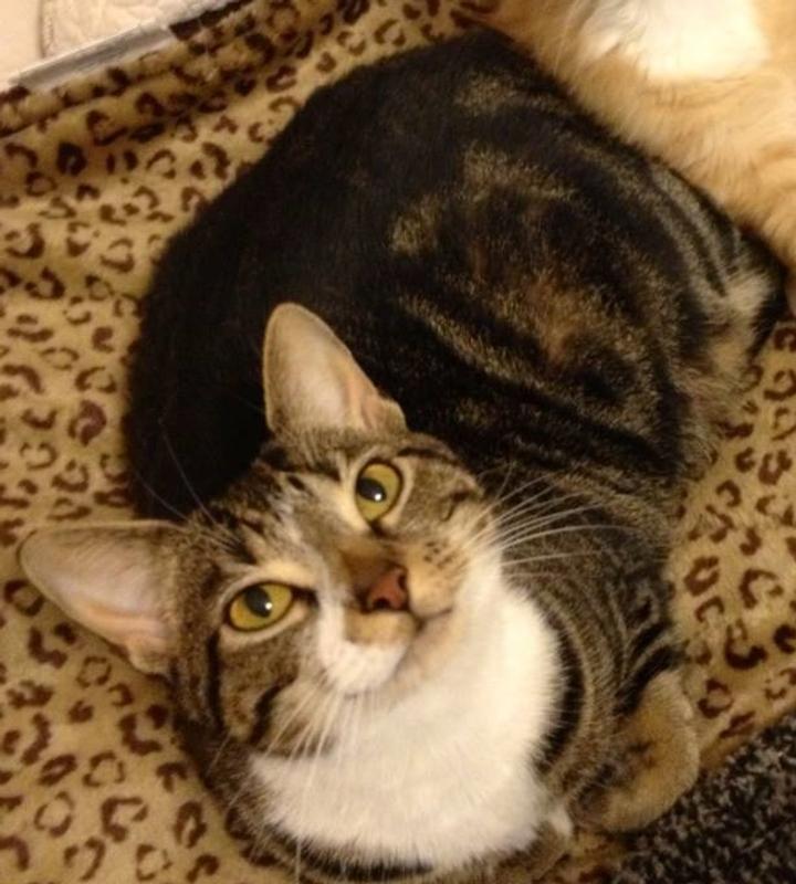 Photo - commentaire 4.