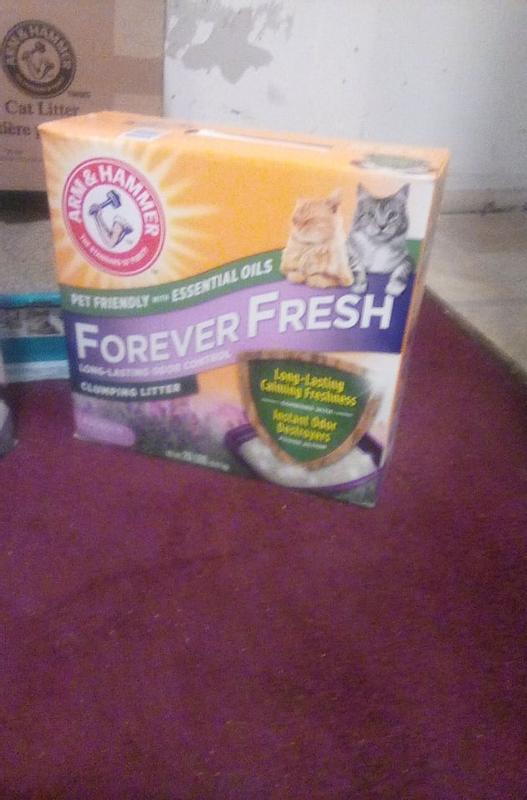 Arm & Hammer Forever Fresh Clumping Cat Litter Lavender